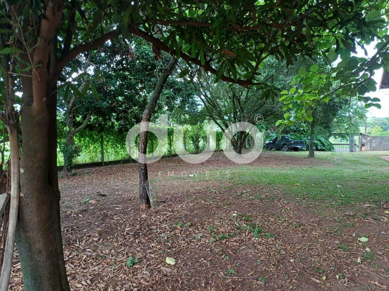 Sítio, 4 quartos, 3300 m² - Foto 10