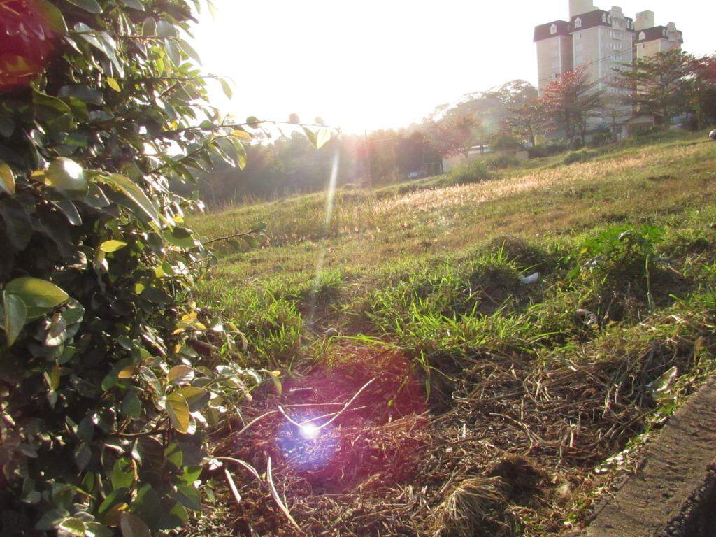 Área à venda no Piracicamirim: 