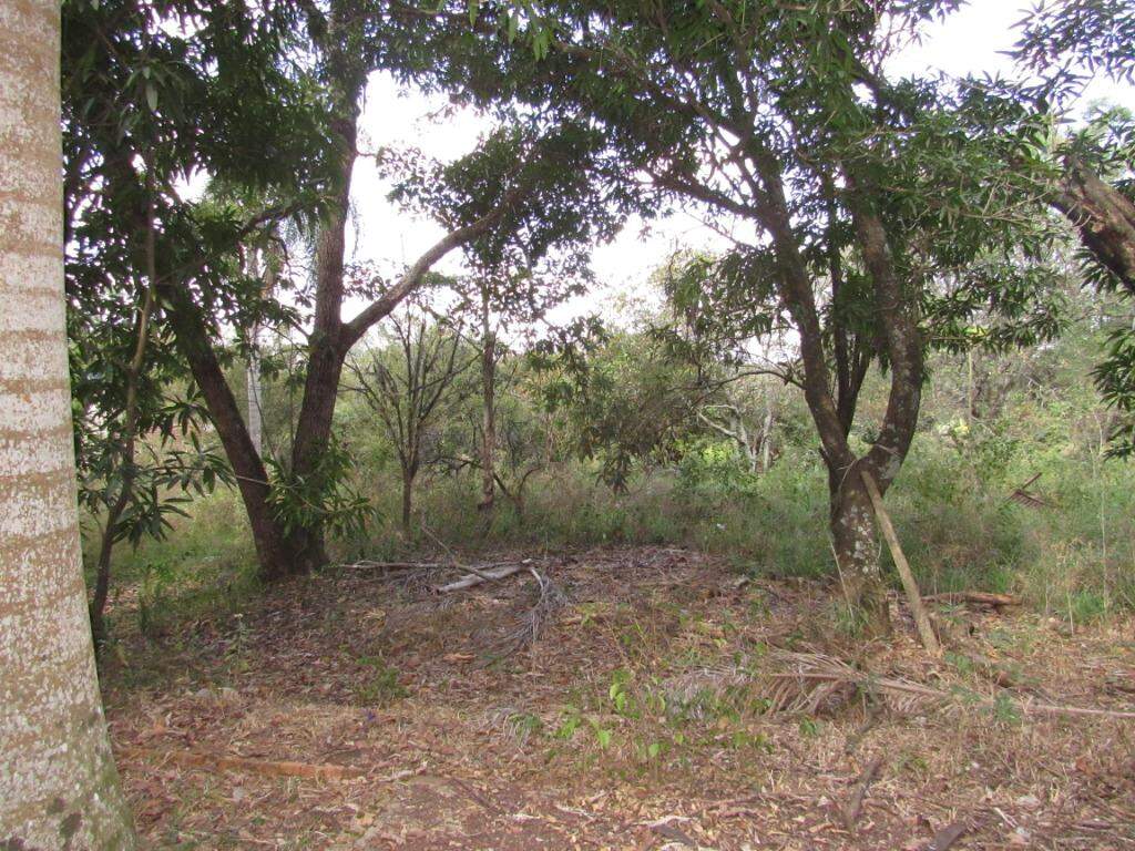 Área à venda no Colinas do Piracicaba (Ártemis): 
