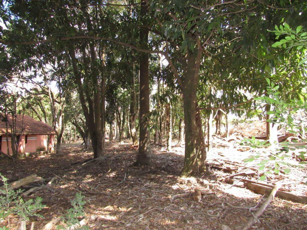 Área à venda no Colinas do Piracicaba (Ártemis): 