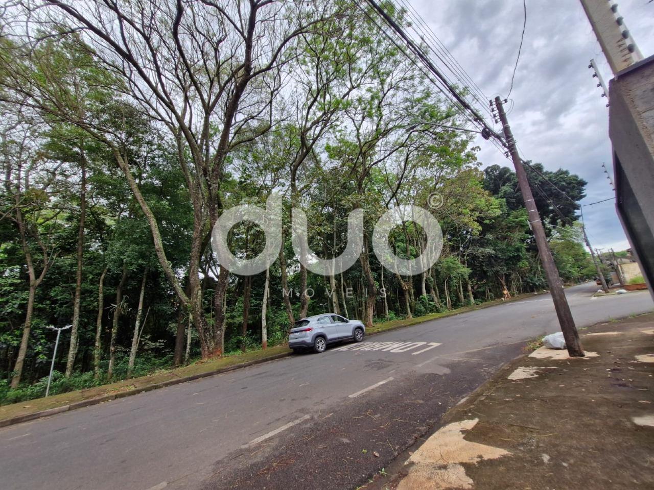 Terreno à venda no Parque Santa Cecília: 
