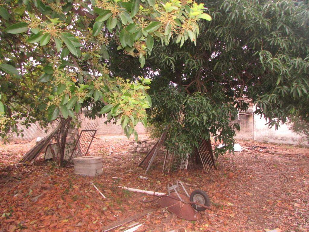 Terreno à venda no Jardim Califórnia: 
