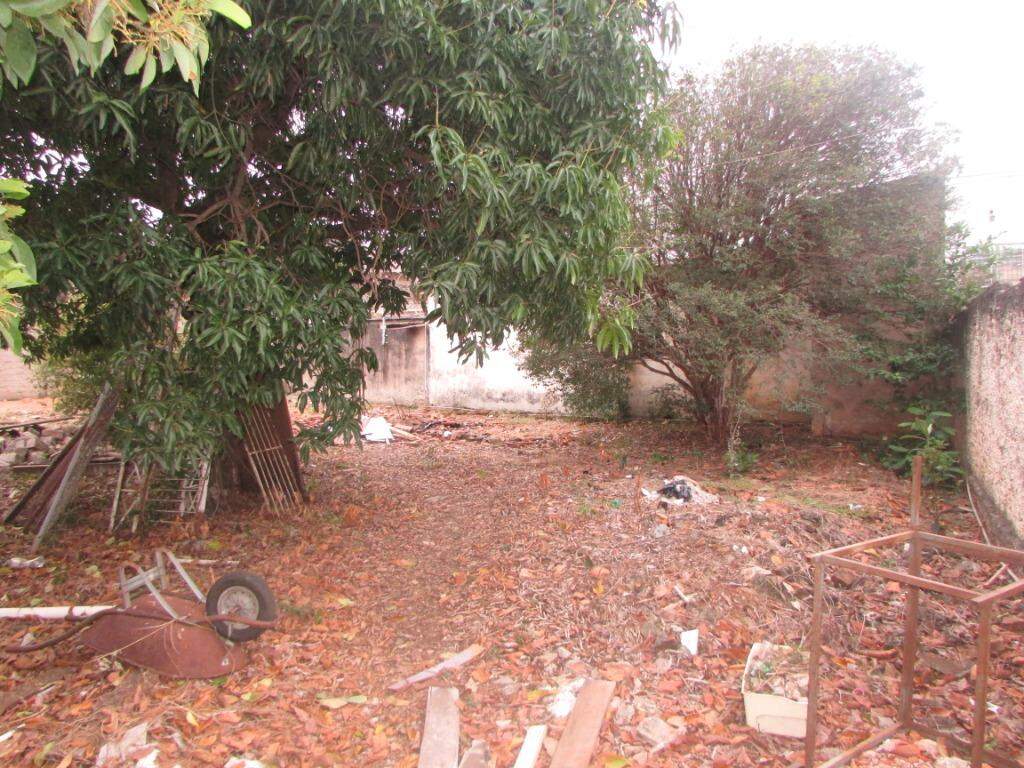 Terreno à venda no Jardim Califórnia: 