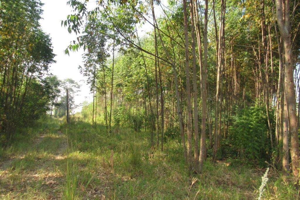 Área à venda no Santa Luzia: 