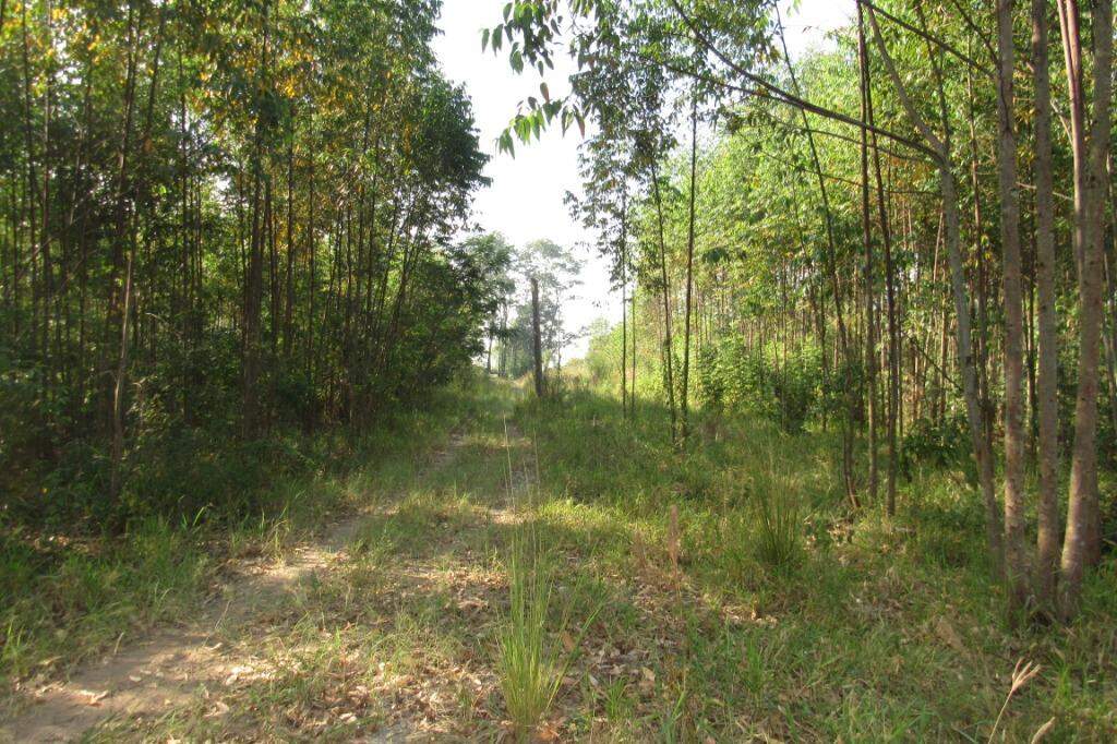 Área à venda no Santa Luzia: 