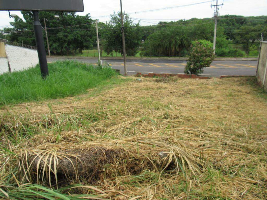 Terreno para aluguel no Centro: 