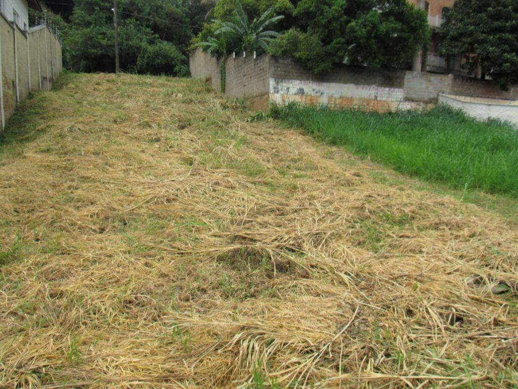 Terreno para aluguel no Centro: 