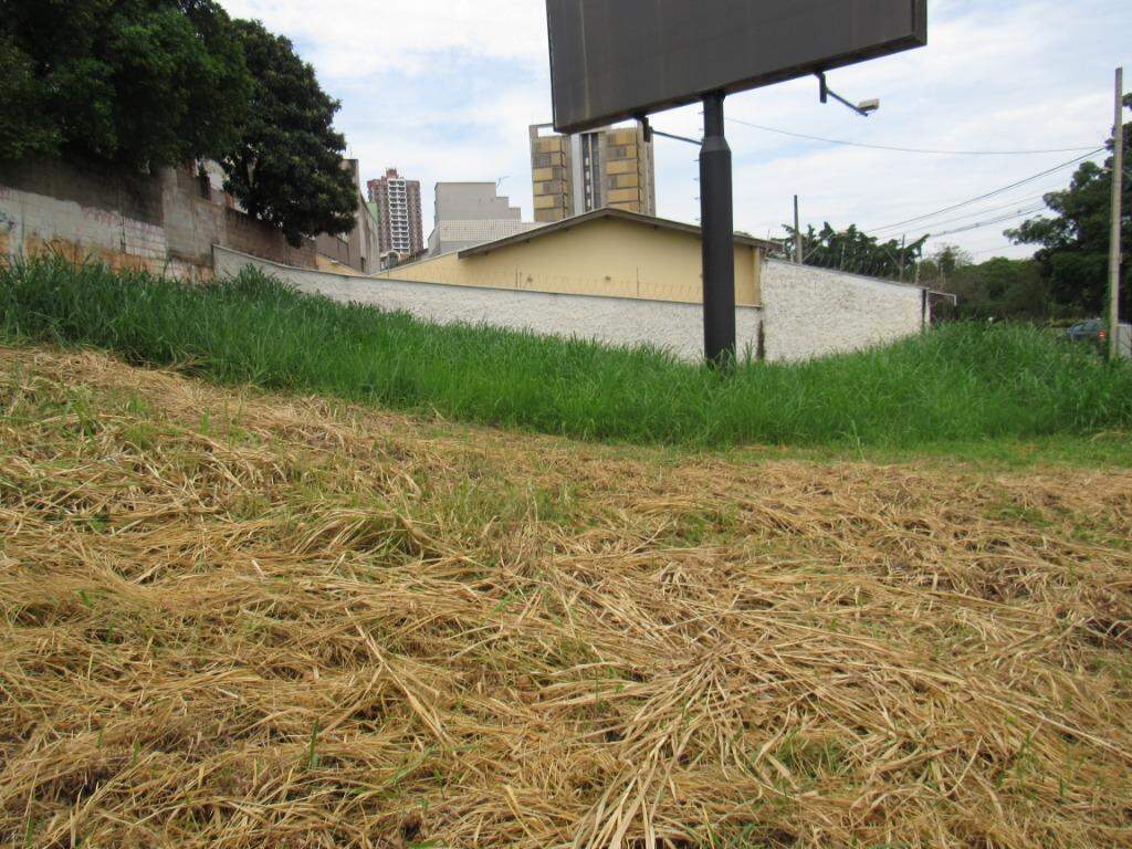 Terreno para aluguel no Centro: 