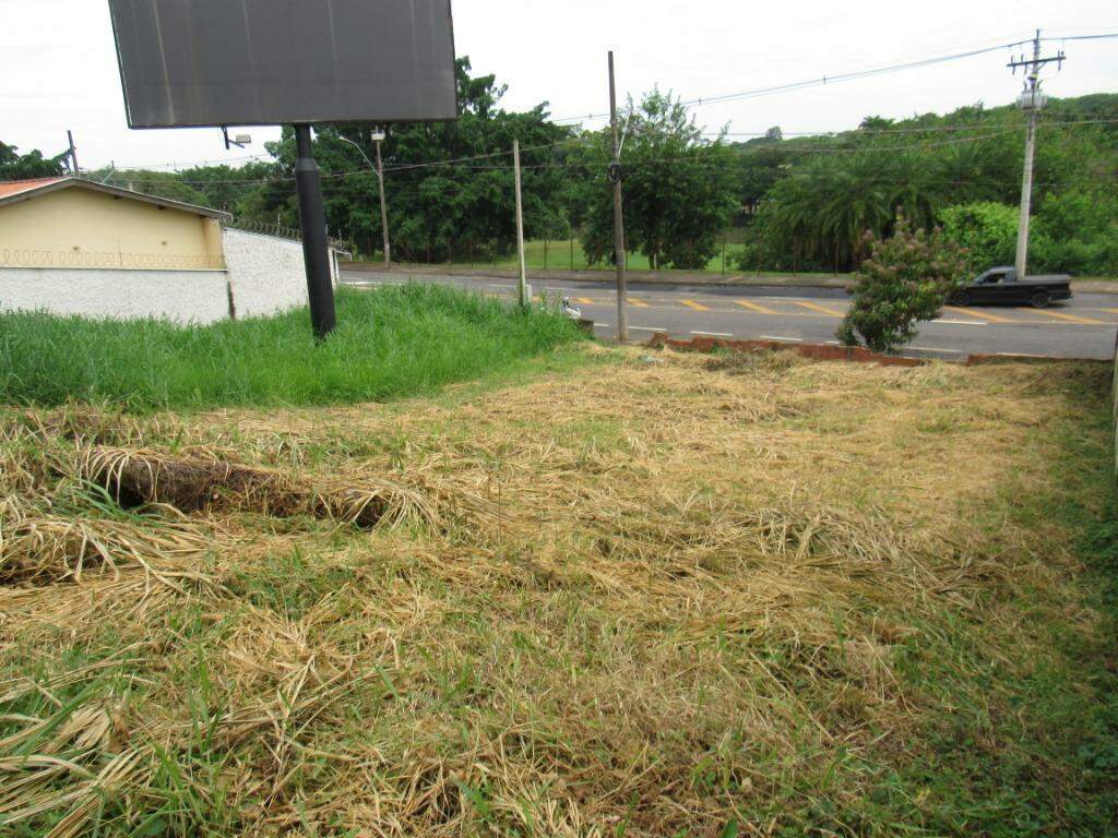 Terreno para aluguel no Centro: 