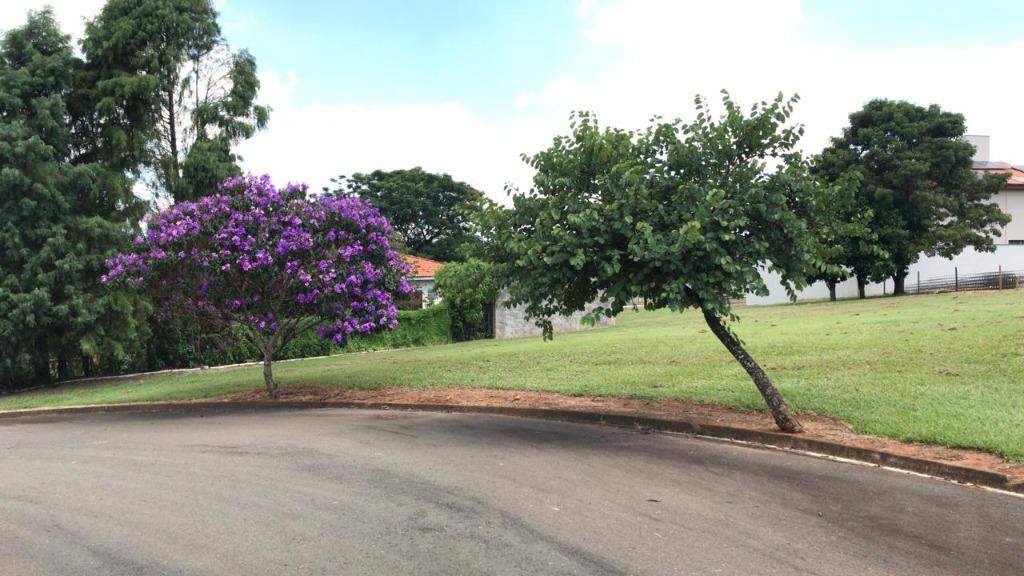 Terreno à venda no Água Branca: 
