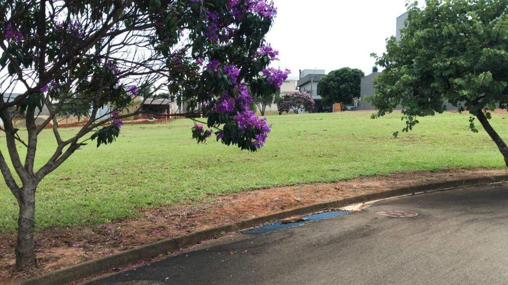 Terreno à venda no Água Branca: 
