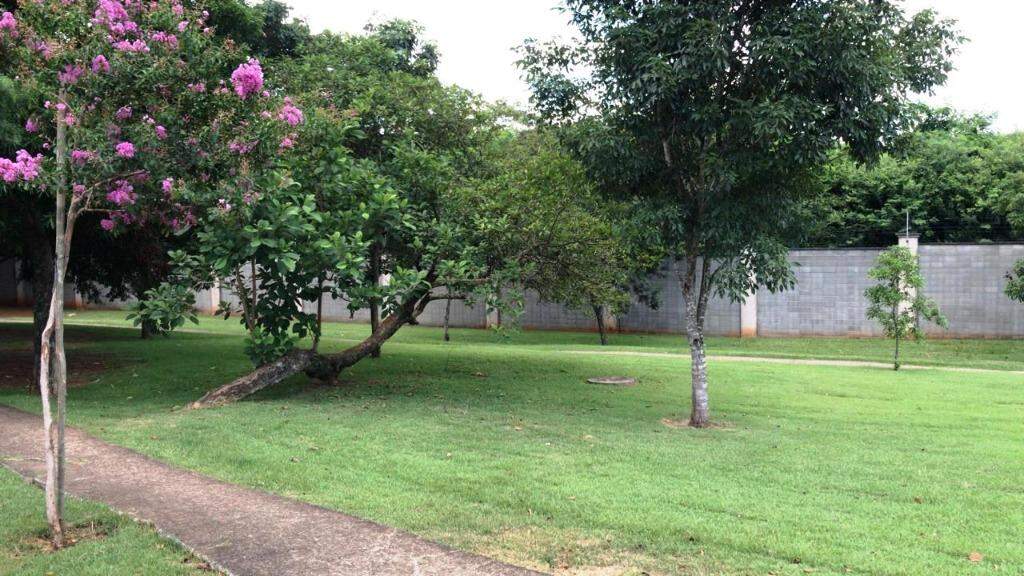 Terreno à venda no Água Branca: 