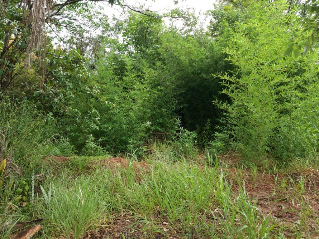 Área à venda no Jardim São Mateus: 