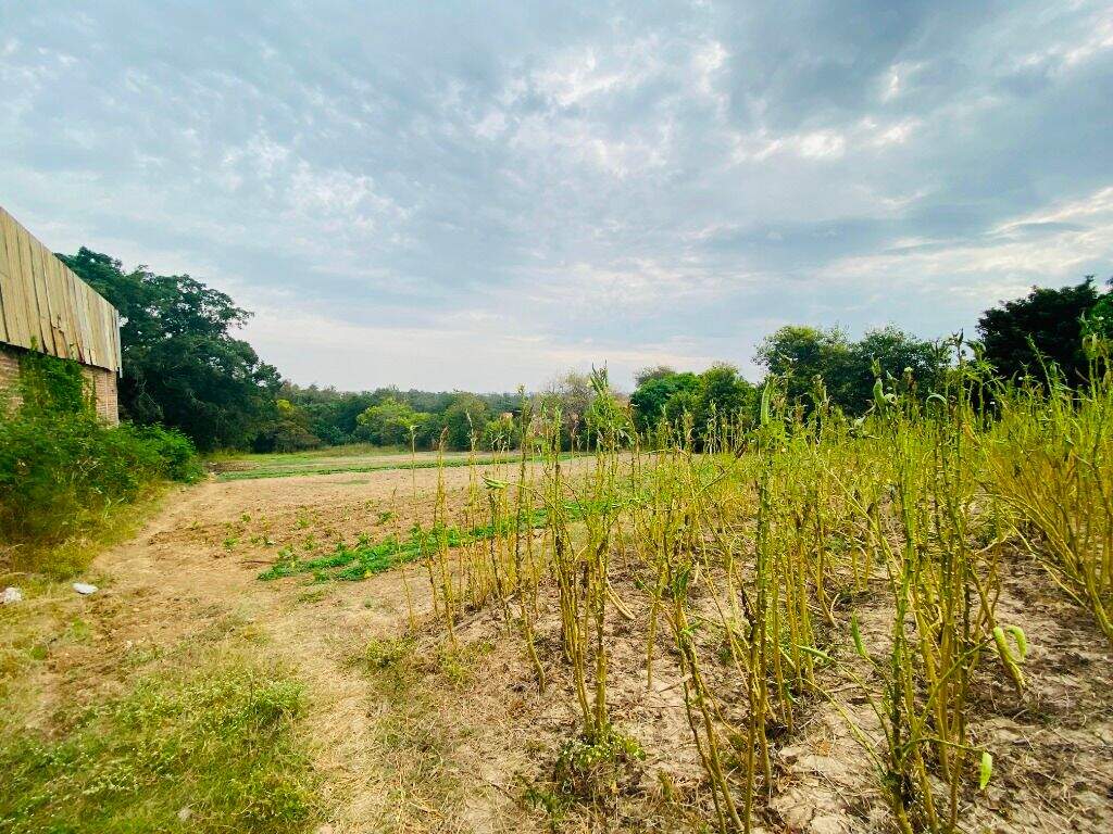 Área à venda no Piracicamirim: 