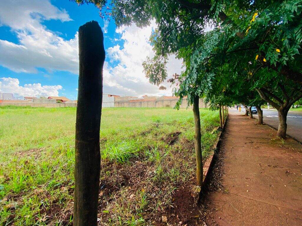 Área à venda no Loteamento São Francisco: 