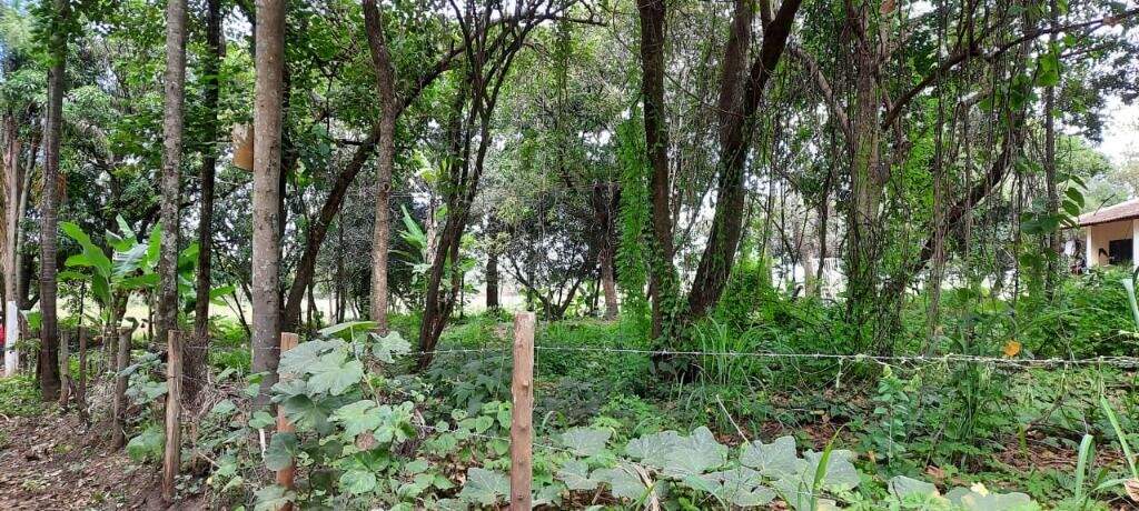 Área à venda no Campestre: 