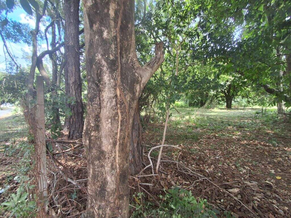 Terreno à venda no Jardim São Francisco: 