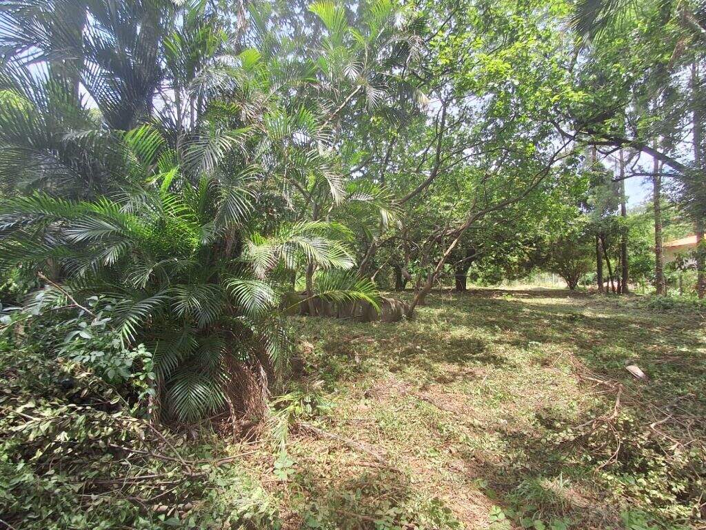 Terreno à venda no Jardim São Francisco: 