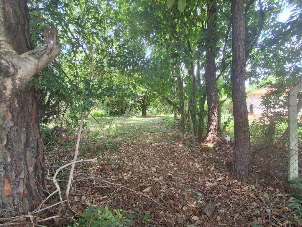 Terreno à venda no Jardim São Francisco: 