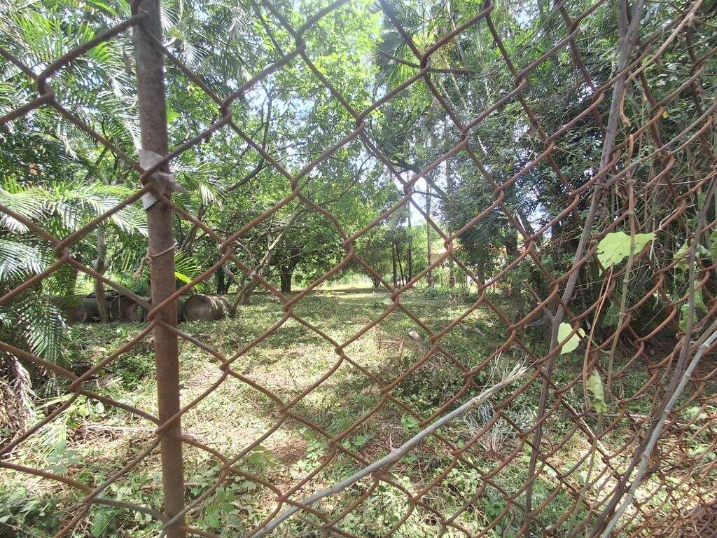 Terreno à venda no Jardim São Francisco: 