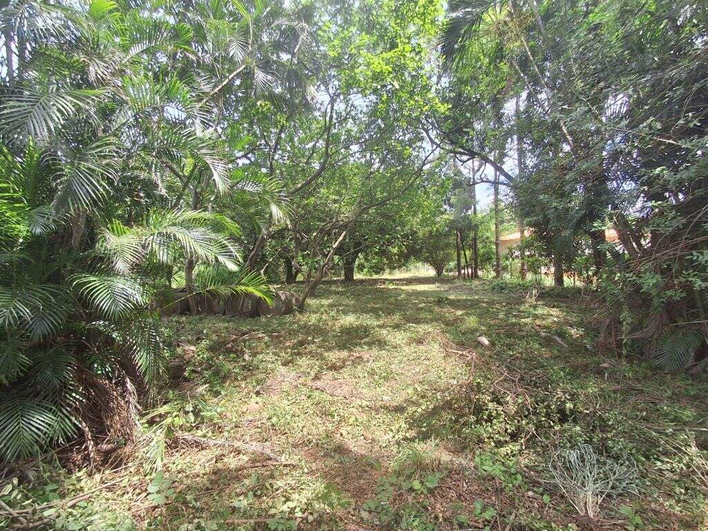 Terreno à venda no Jardim São Francisco: 