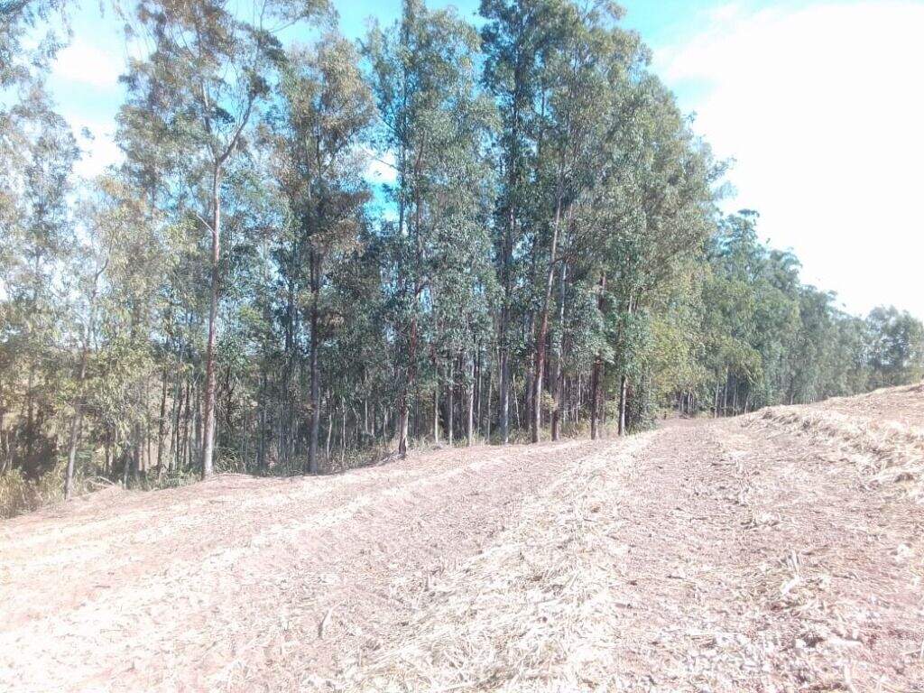 Área à venda no Santa Luzia: 