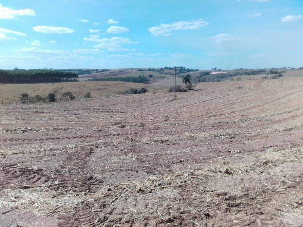 Área à venda no Santa Luzia: 