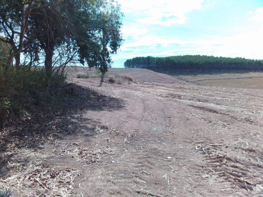 Área à venda no Santa Luzia: 