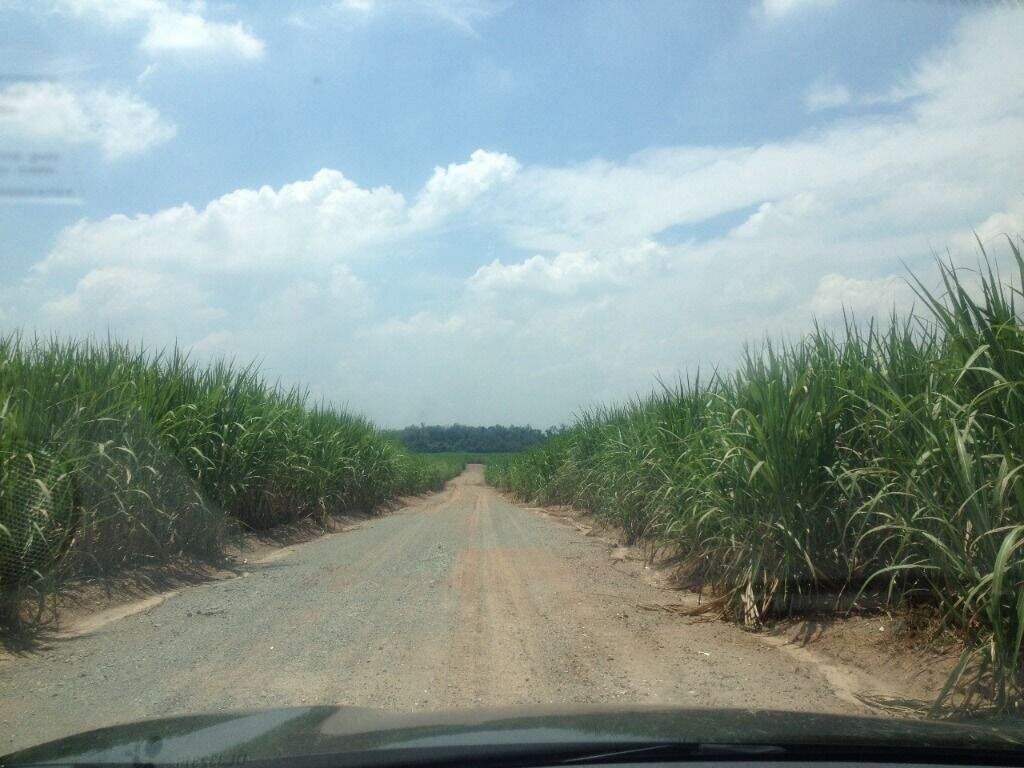 Área à venda no Santa Luzia: 