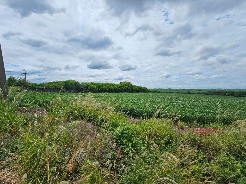 Área à venda no Campestre: 