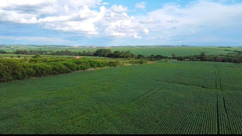 Área à venda no Campestre: 