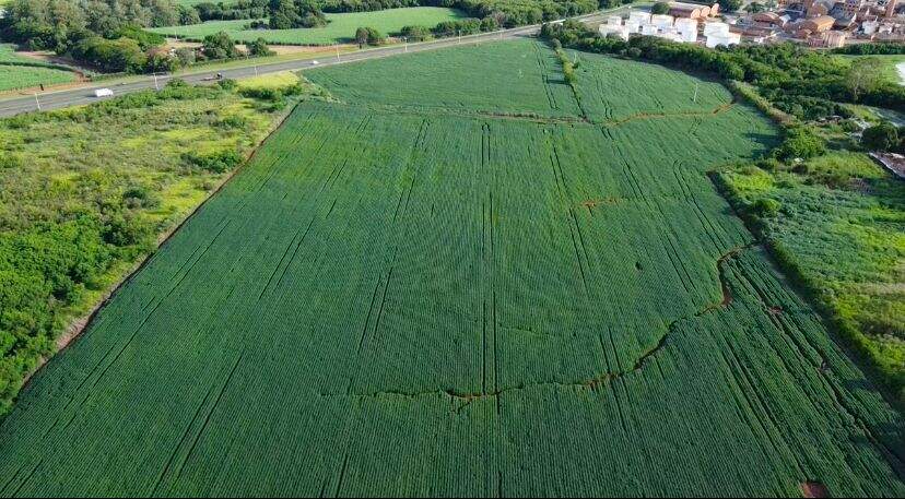 Área à venda no Campestre: 