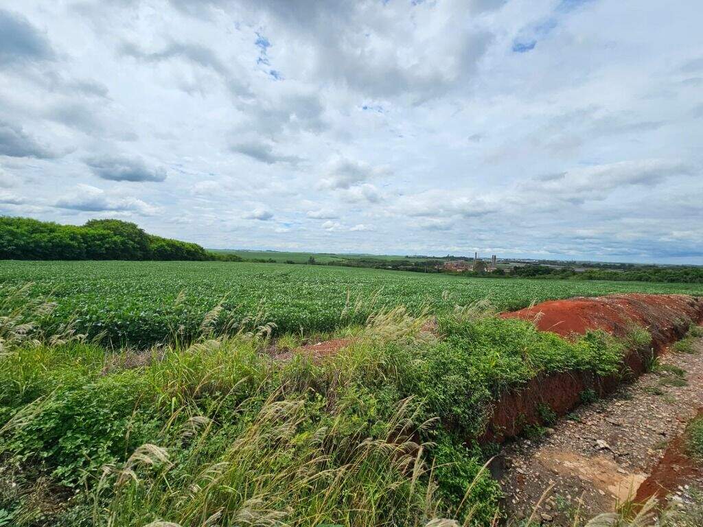 Área à venda no Campestre: 