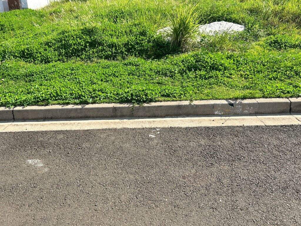 Terreno à venda no Bongue: 