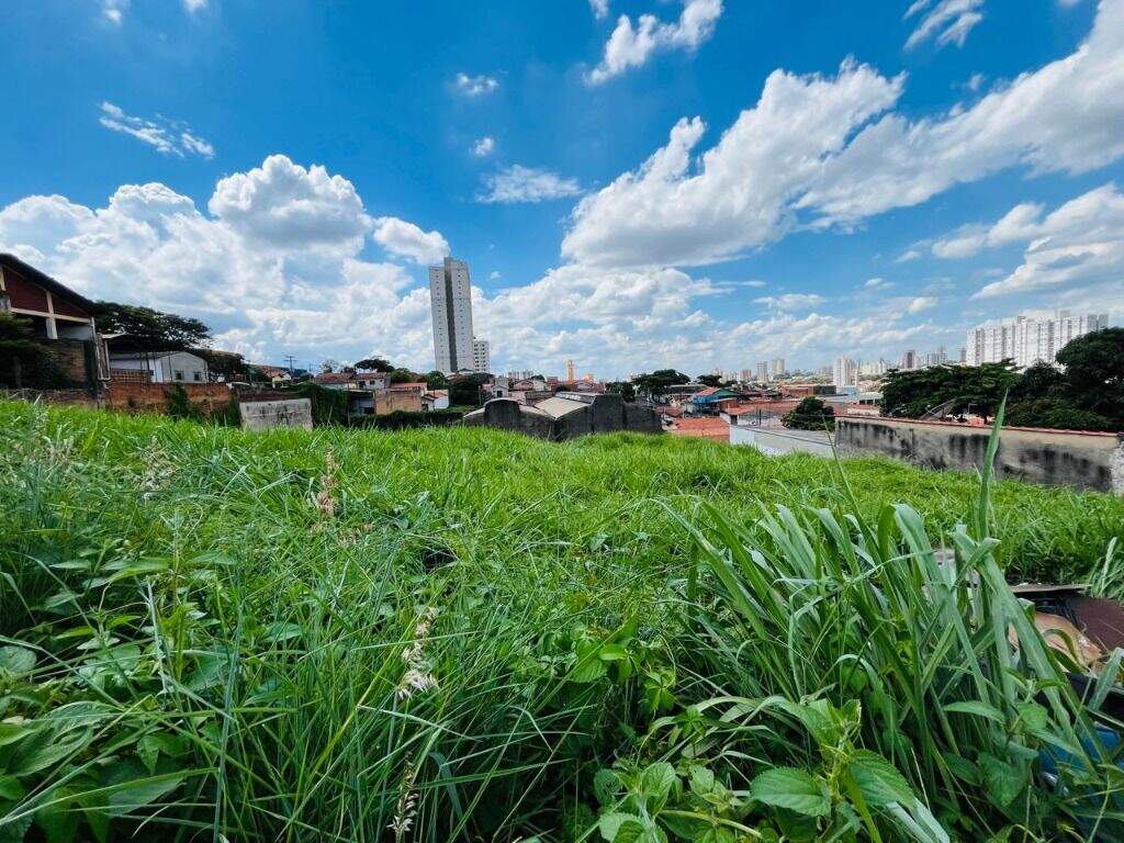 Terreno à venda no Paulicéia: 
