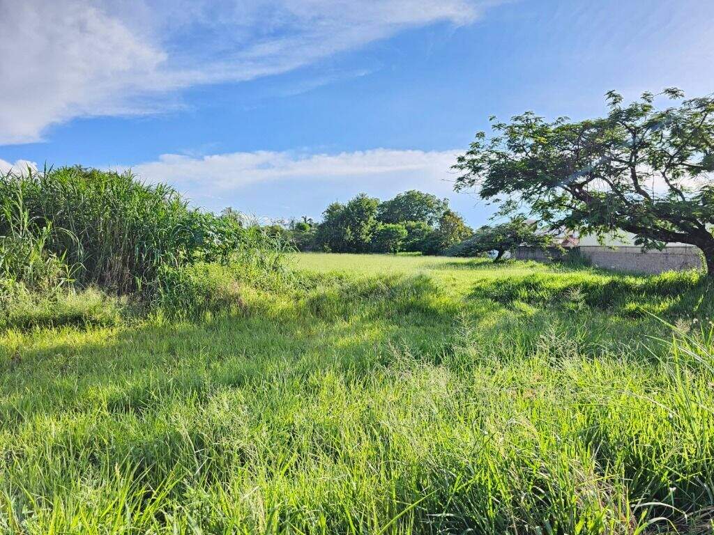 Terreno para aluguel no Piracicamirim: 