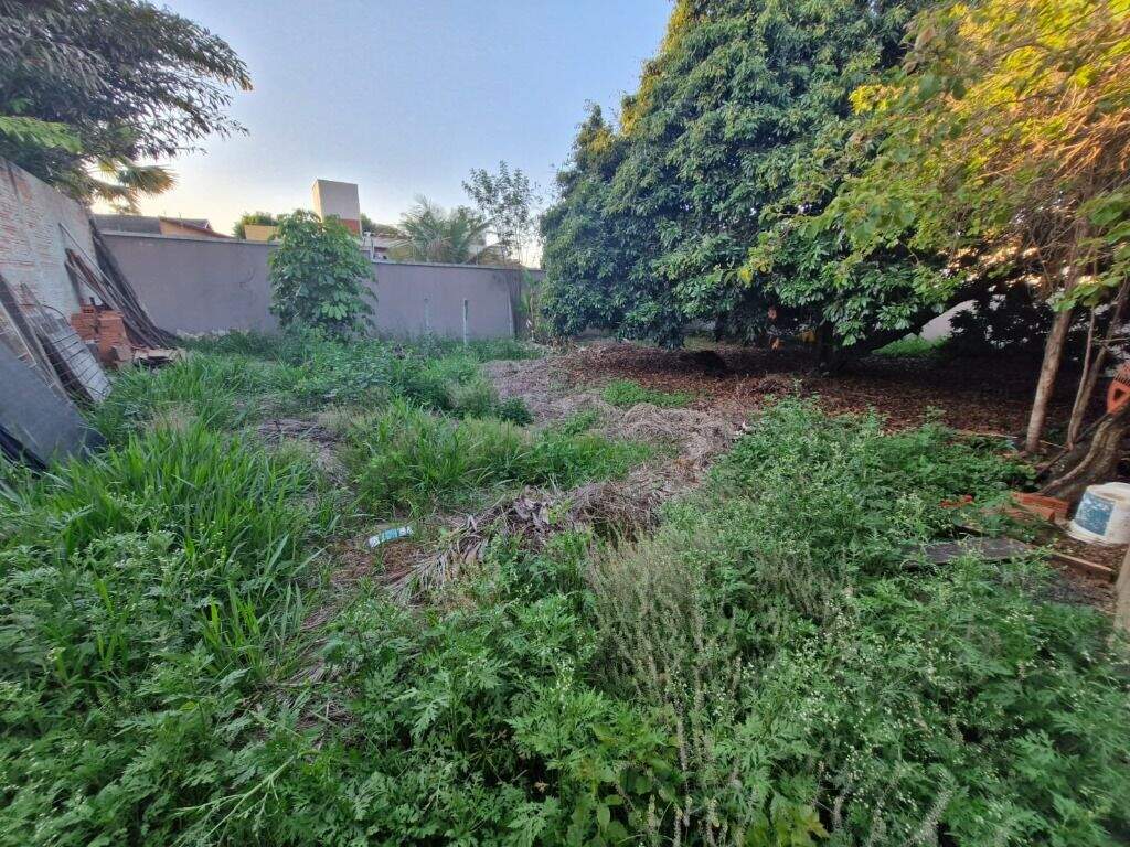 Terreno à venda no Parque Santa Cecília: 