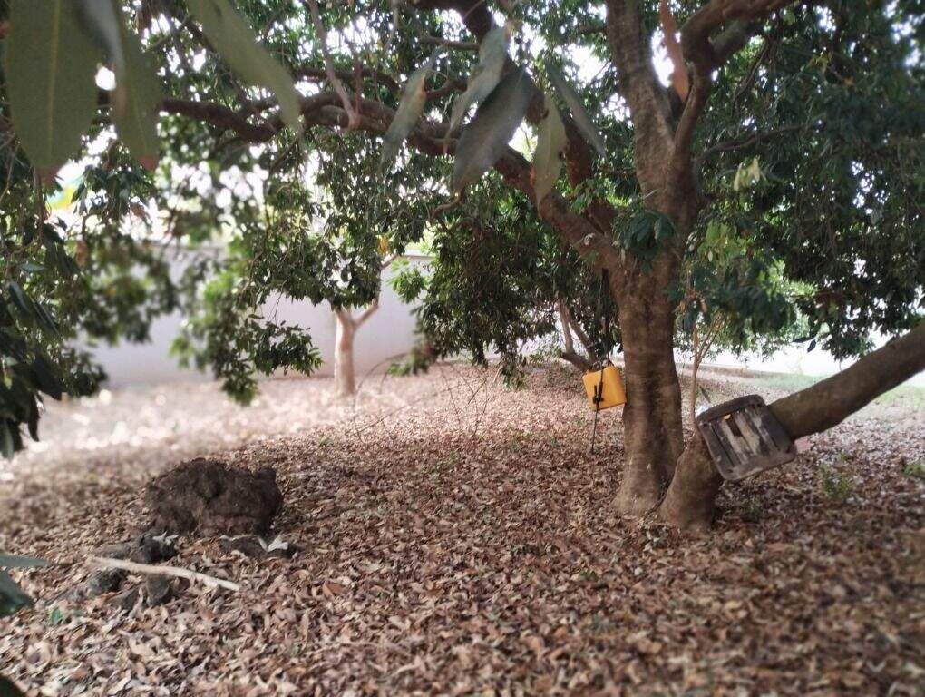Terreno à venda no Parque Santa Cecília: 