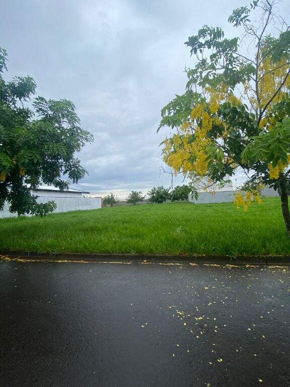 Terreno à venda no Santa Terezinha: 