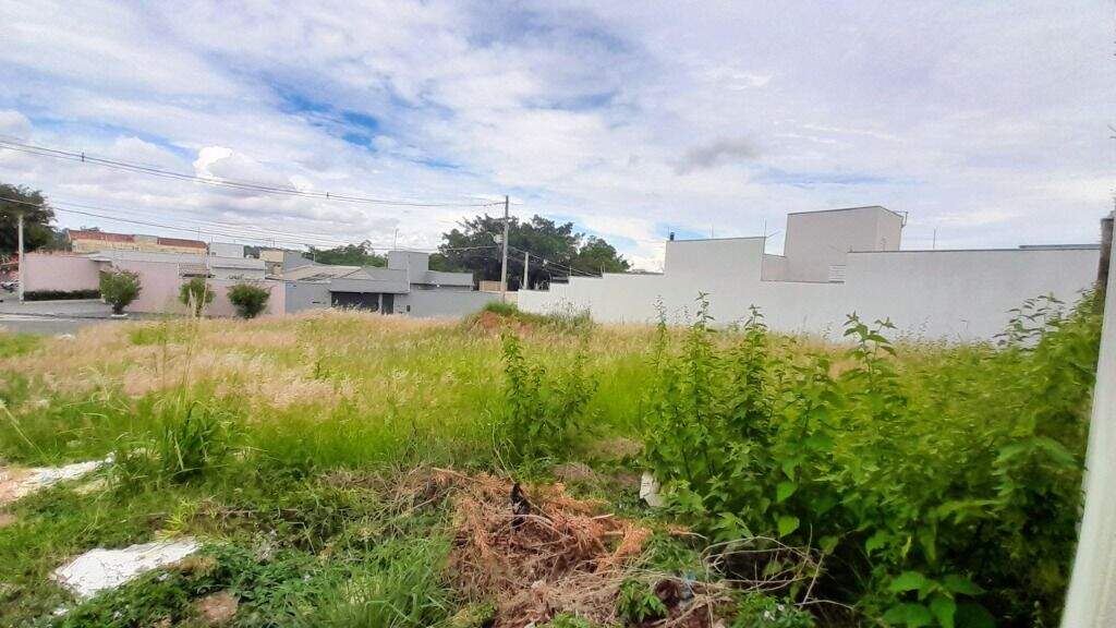 Terreno à venda no Terra Nova: 