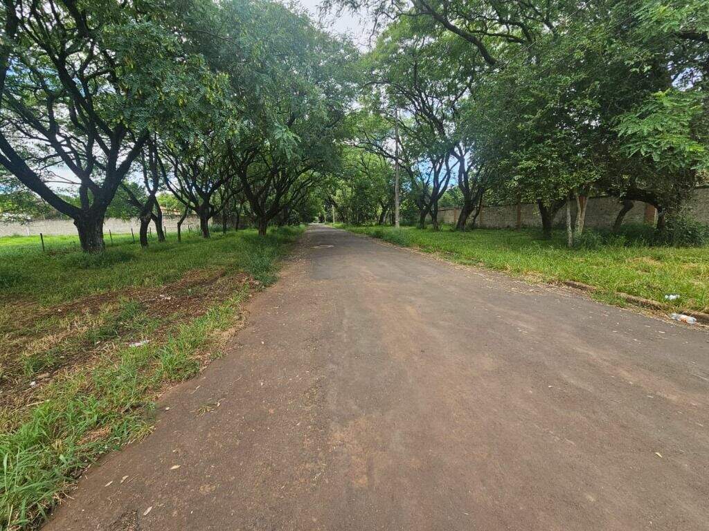Terreno à venda no Santa Rita: 
