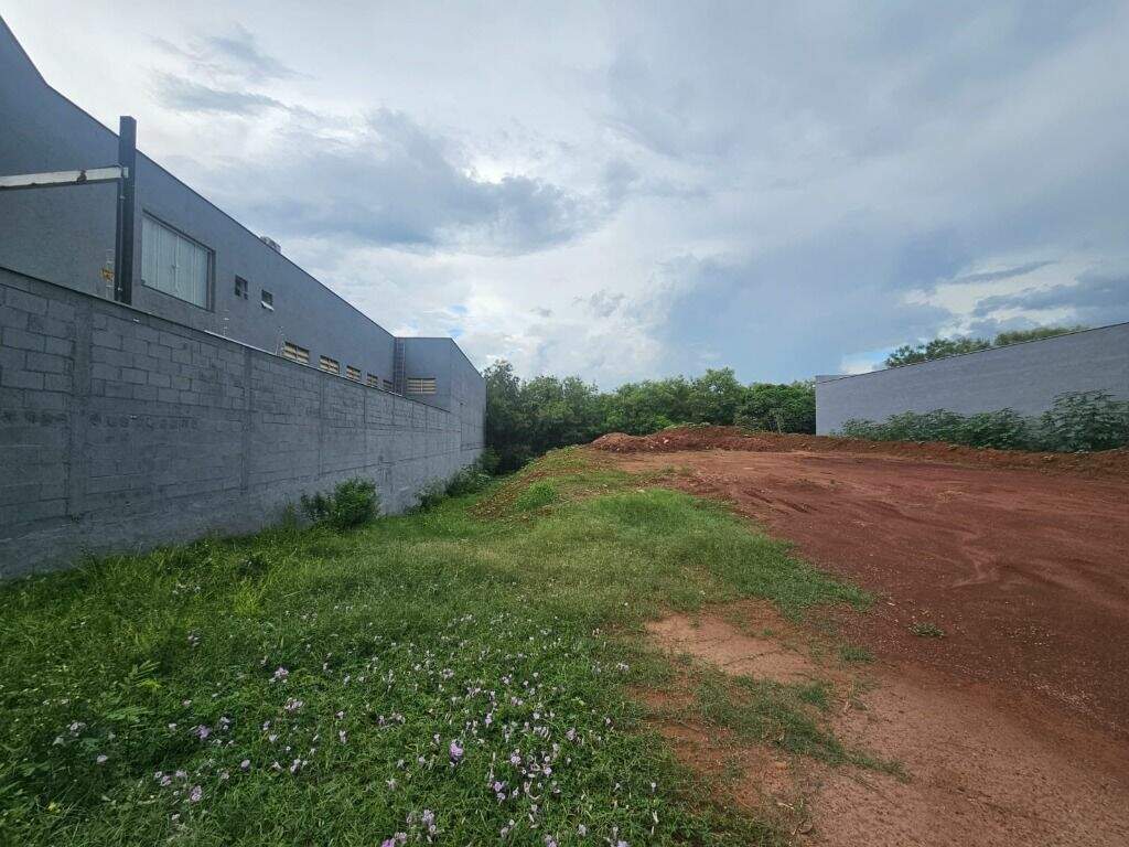 Terreno para aluguel no Jardim Algodoal: 