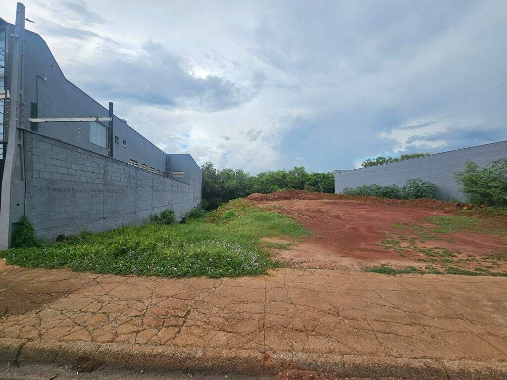 Terreno para aluguel no Jardim Algodoal: 