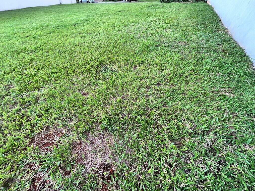 Terreno à venda no Água Branca: Terreno à venda em condomínio fechado na Água Branca, Piracicaba, com 300 m² e topografia plana - Duo Imóveis