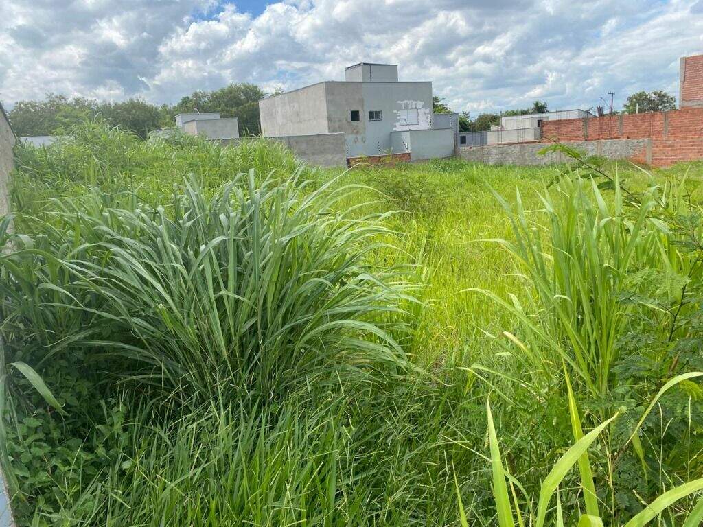Terreno à venda no Campestre: 