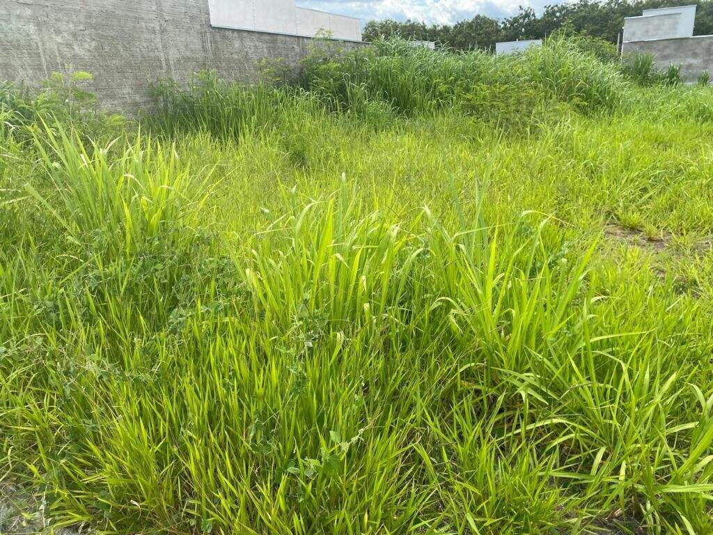 Terreno à venda no Campestre: 