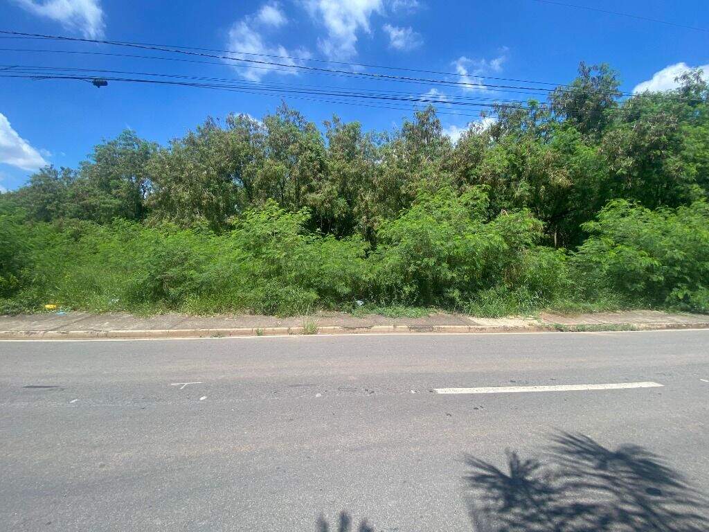 Terreno à venda no São Vicente: 