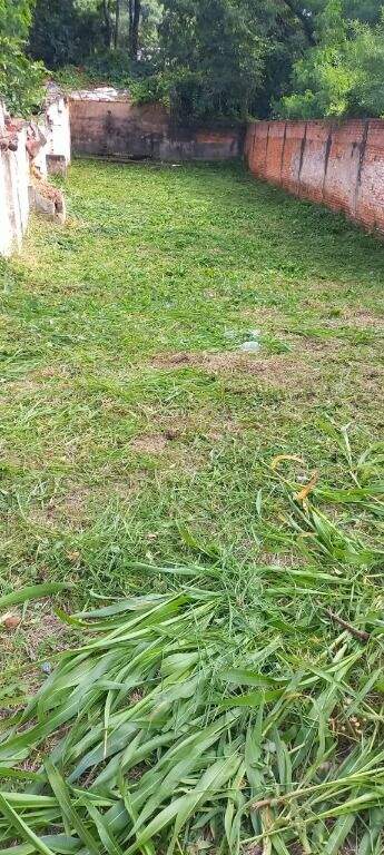 Terreno à venda no Vila Independência: 