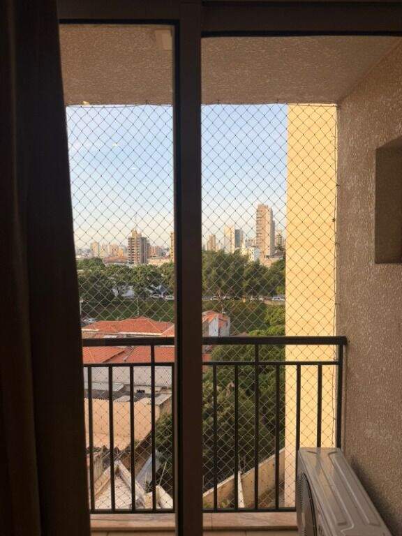 Apartamento para aluguel no Paulicéia: 