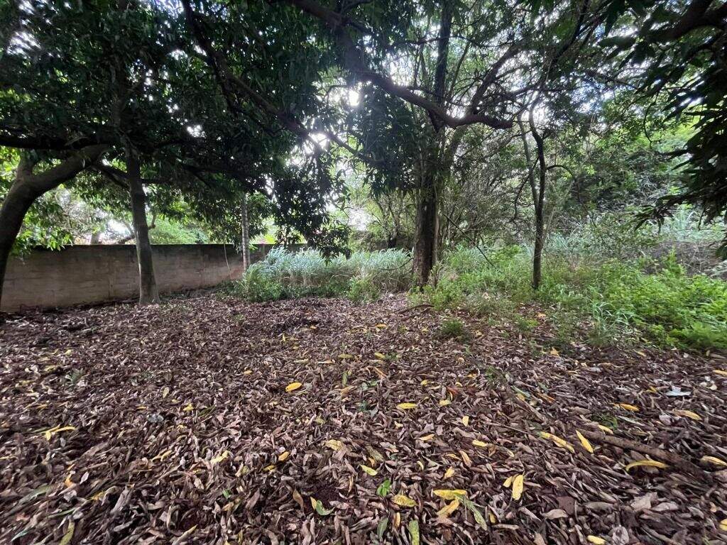 Terreno à venda no Dois Córregos: 